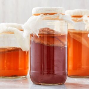 ورشة إعداد شراب الكمبوتشا (الكامبوجا)